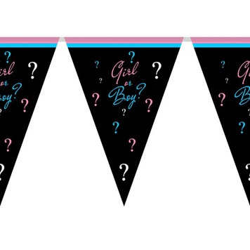 Бумажные флажки вымпелы 17&times;24 см для гендер пати Girl or boy 2 метра Черные. 10187 фото