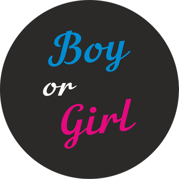 Міні банер артборд 50 см для фотозони Гендер паті Boy or girl Чорний 0006827 фото