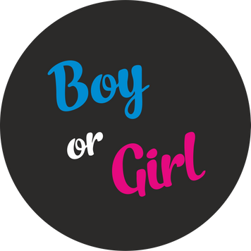 Міні банер артборд 50 см для фотозони Гендер паті Boy or girl жирний шрифт Чорний 0006828 фото